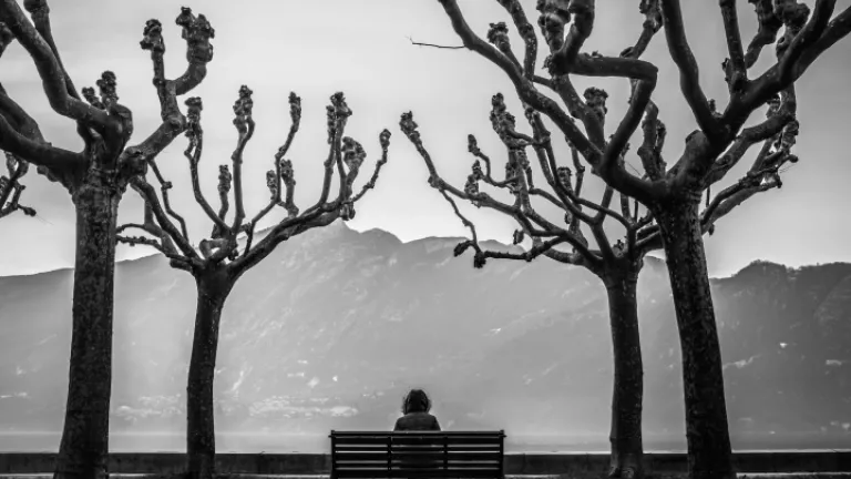 Com Deus podemos ser fortes ainda que nos sintamos  fracos. Quando estivermos realmente perto de Deus, não teremos mais a sensação de estarmos enfrentando a vida sozinhos. Uma pessoa sentada em um banco de parque entre algumas árvores.