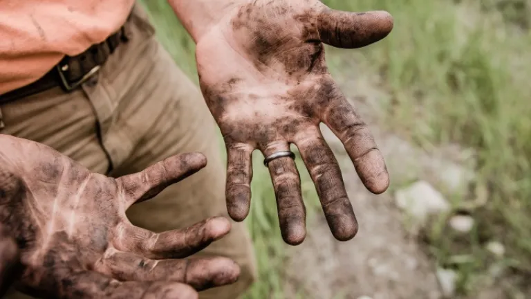 Homem com as mãos sujas pelo trabalho na terra.