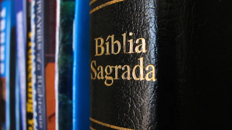 Uma pilha de livros.