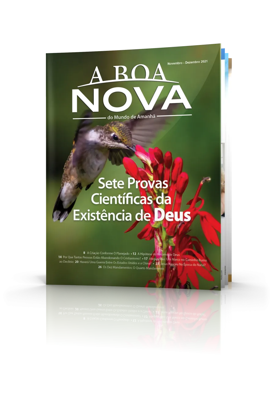 Novembro/Dezembro 2021