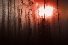 A Destruição do Reino de Satanás
