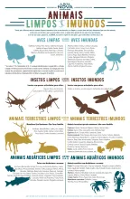 Infográfico: Carnes Limpas vs. Sujas