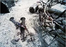 Jesus falhou como o Messias?