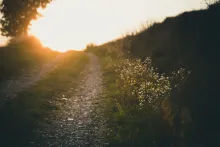 Um caminho rochoso com raios de sol ao final.