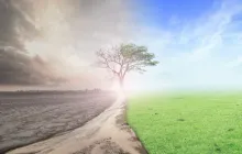 Uma ilustração fotográfica de solo seco e desolado tornando-se num solo com folhas verdes e uma árvore morta com folhas a crescer.