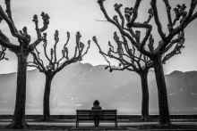 Uma pessoa sentada em um banco de parque entre algumas árvores.