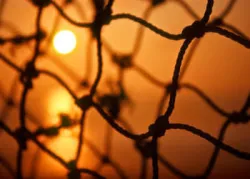 Miniestudo: Treinando Agora Para Ajudar o Governo de Cristo