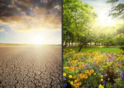 O que é exatamente o Reino de Deus?O que é exatamente o Reino de Deus?