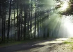 O Planeta Terra Sobreviverá e Florescerá!
