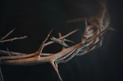 Coroa de espinhos.