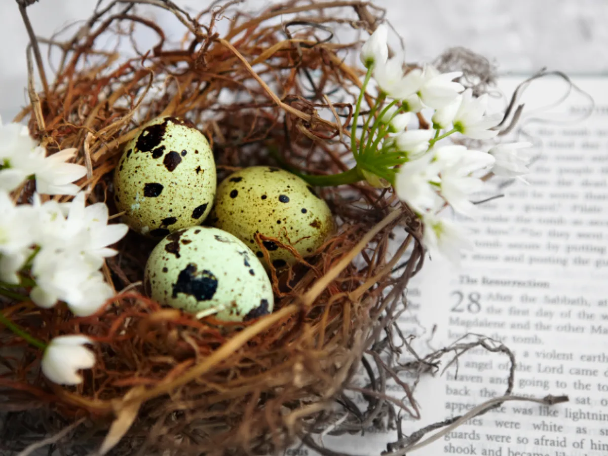 A basket with Easter eggs on a Bible.